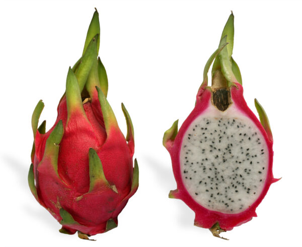 Pitaya cross section ed2